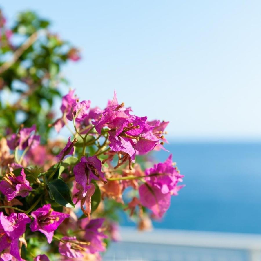 Made In Sicily Santa Tecla Bed & Breakfast Acireale Bagian luar foto
